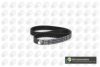 CITRO 0816K5 Timing Belt
